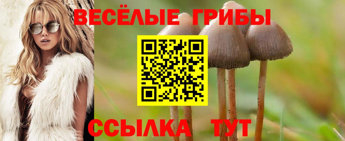 Кимры  Псилоцибиновые грибы MAGIC MUSHROOMS  Вход с VPN 